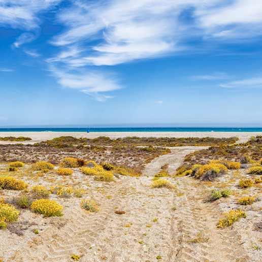 Paraje Natural de Punta Entinas-Sabinar