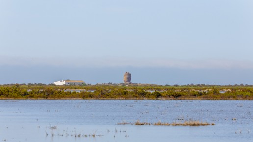 Paraje Natural de Punta Entinas-Sabinar