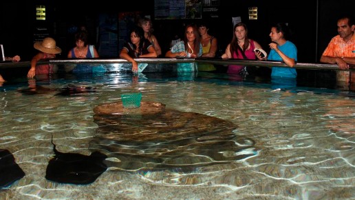 Aquarium de Roquetas de Mar