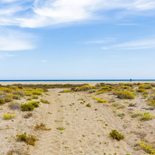 Playa Cerrillos - Turismo Roquetas de MarPlaya Ventilla - Turismo Roquetas de Mar