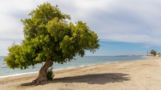 Playa Ventilla - Turismo Roquetas de Mar