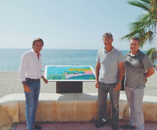 foto posidonia